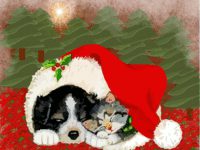 Puppy and Kitten Dreaming of Christmas wallpaper
